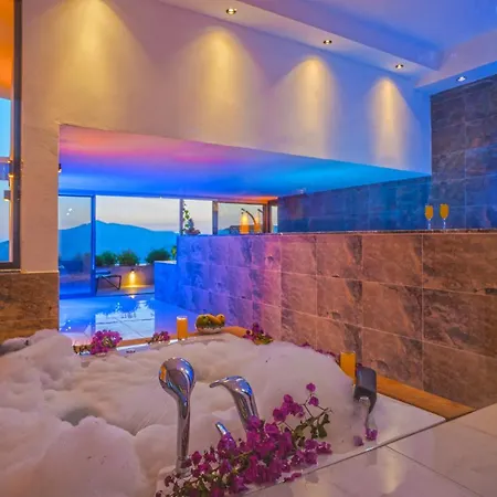 Vinka Villa *