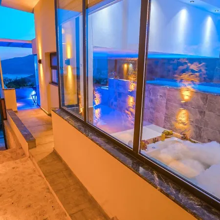 Vinka Villa *