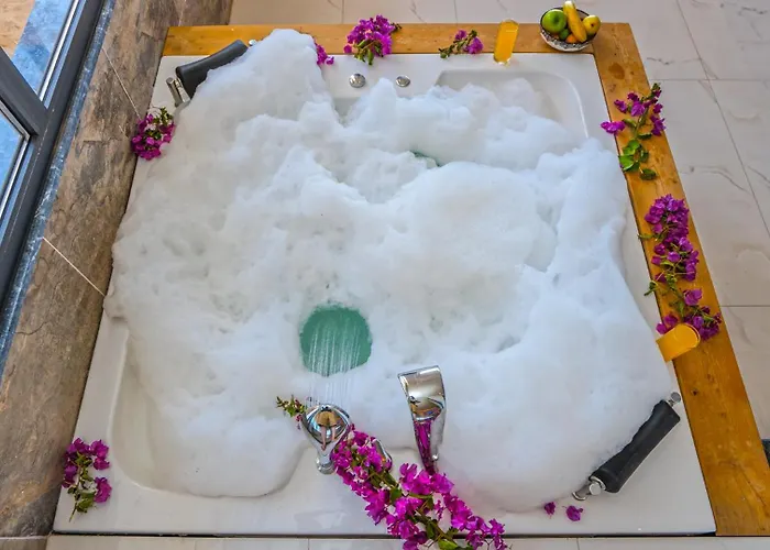 Βίλα Vinka Καλκάν