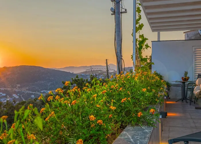 Vinka Βίλα Καλκάν